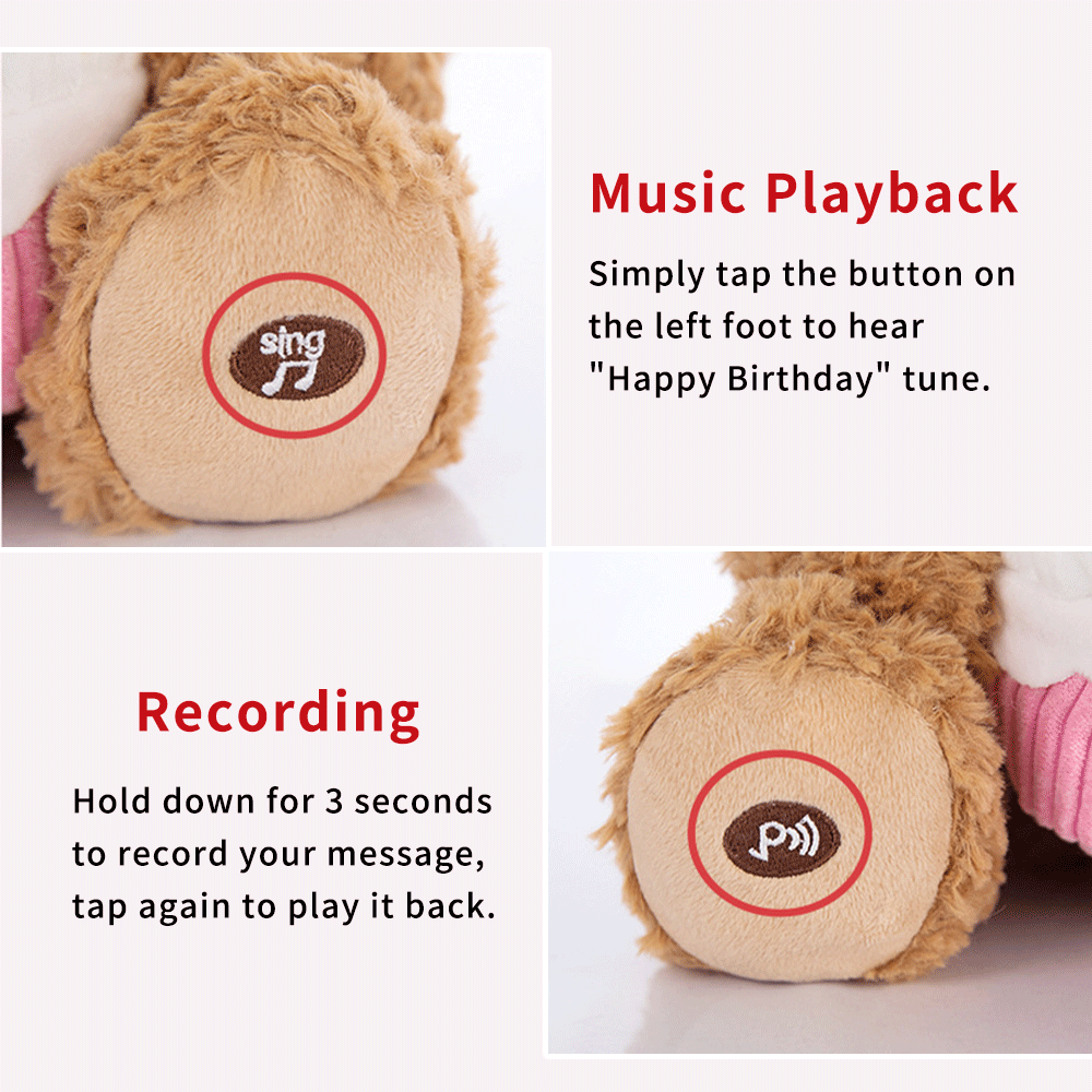 Happy Birthday Singing Bear